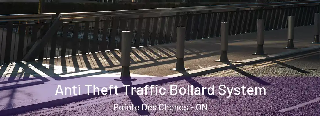  Anti Theft Traffic Bollard System Pointe Des Chenes - ON