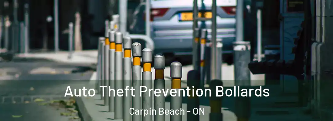  Auto Theft Prevention Bollards Carpin Beach - ON