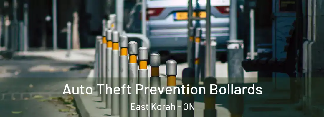  Auto Theft Prevention Bollards East Korah - ON
