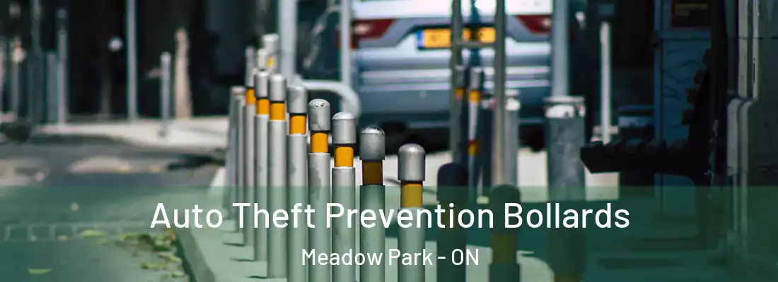  Auto Theft Prevention Bollards Meadow Park - ON