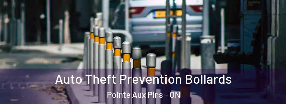  Auto Theft Prevention Bollards Pointe Aux Pins - ON