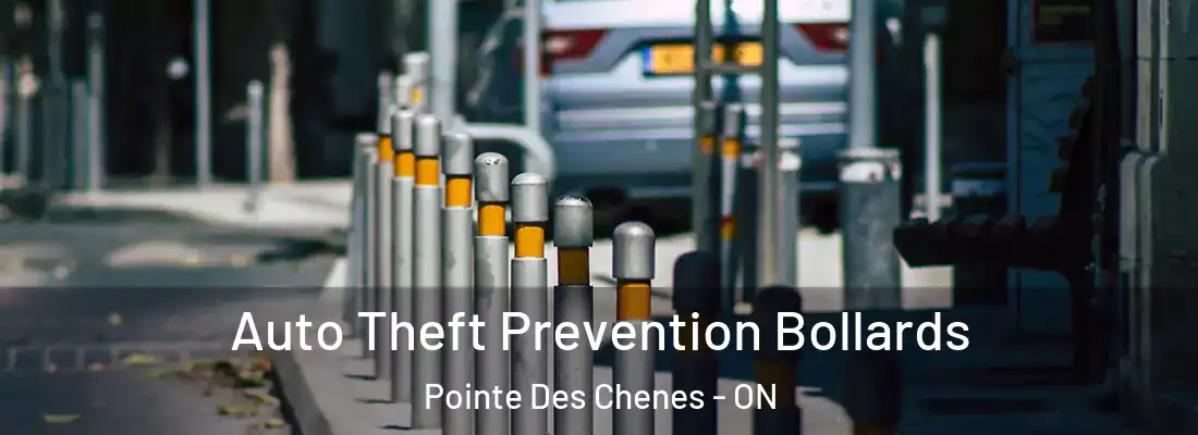  Auto Theft Prevention Bollards Pointe Des Chenes - ON