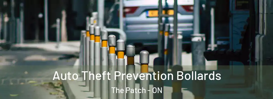 Auto Theft Prevention Bollards The Patch - ON