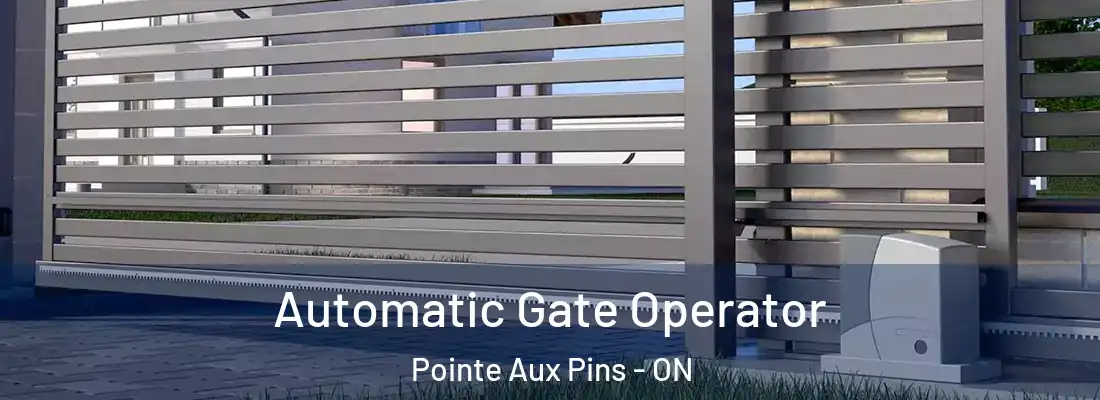  Automatic Gate Operator Pointe Aux Pins - ON