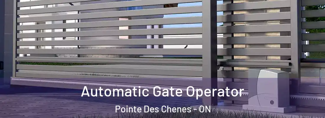  Automatic Gate Operator Pointe Des Chenes - ON