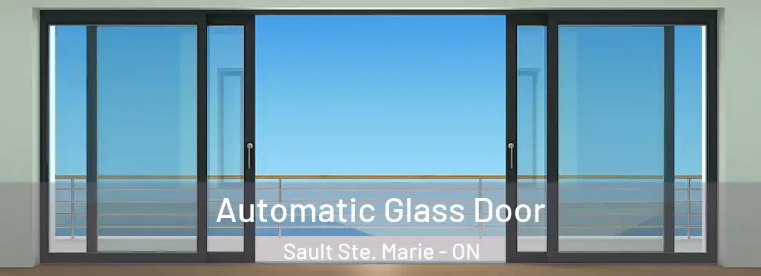  Automatic Glass Door Sault Ste. Marie - ON
