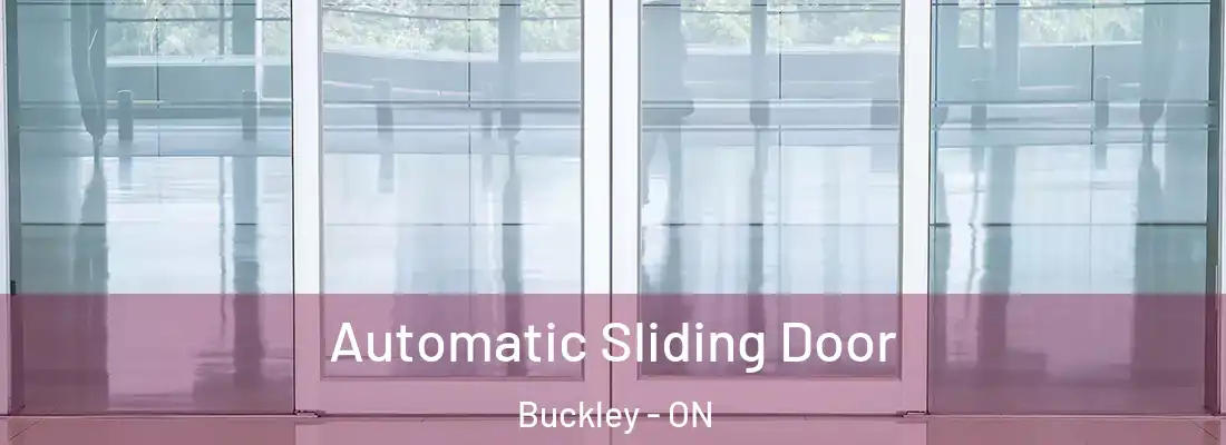  Automatic Sliding Door Buckley - ON