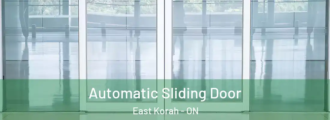  Automatic Sliding Door East Korah - ON