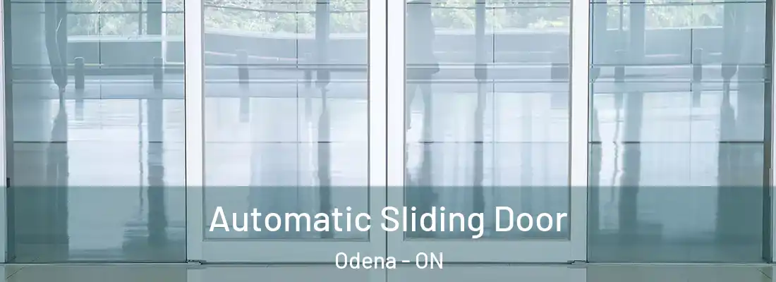 Automatic Sliding Door Odena - ON