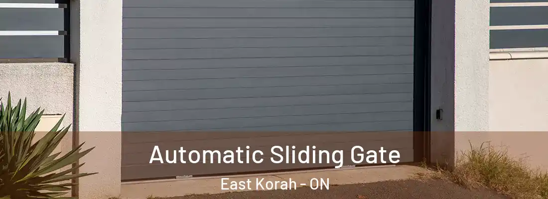  Automatic Sliding Gate East Korah - ON