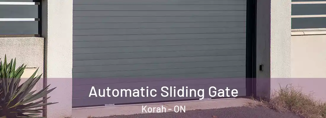  Automatic Sliding Gate Korah - ON