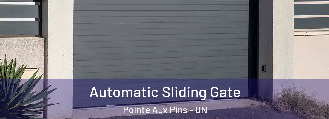  Automatic Sliding Gate Pointe Aux Pins - ON