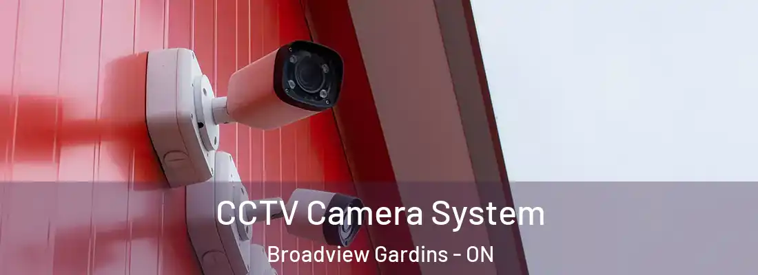  CCTV Camera System Broadview Gardins - ON