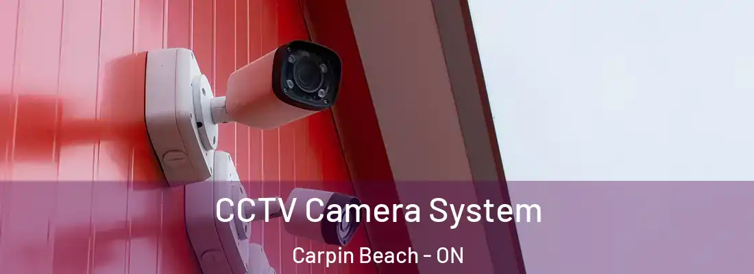  CCTV Camera System Carpin Beach - ON