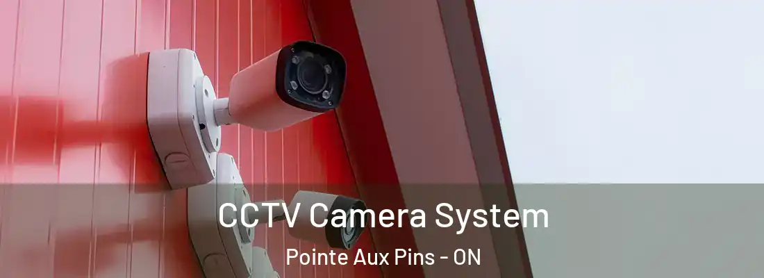  CCTV Camera System Pointe Aux Pins - ON
