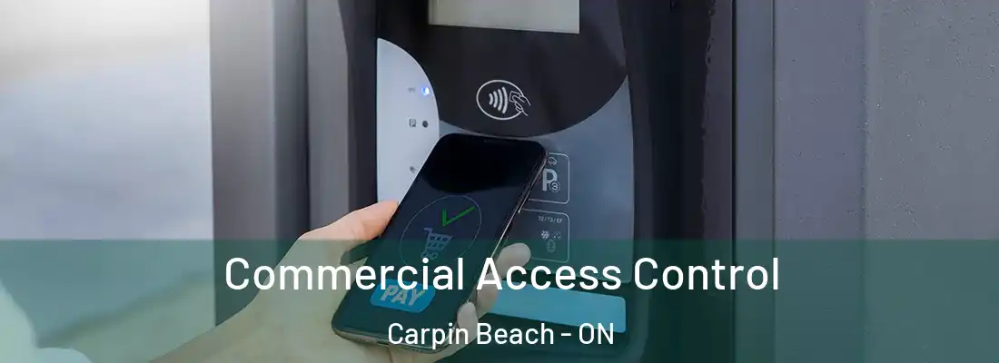  Commercial Access Control Carpin Beach - ON