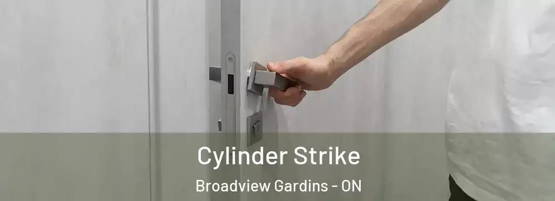  Cylinder Strike Broadview Gardins - ON