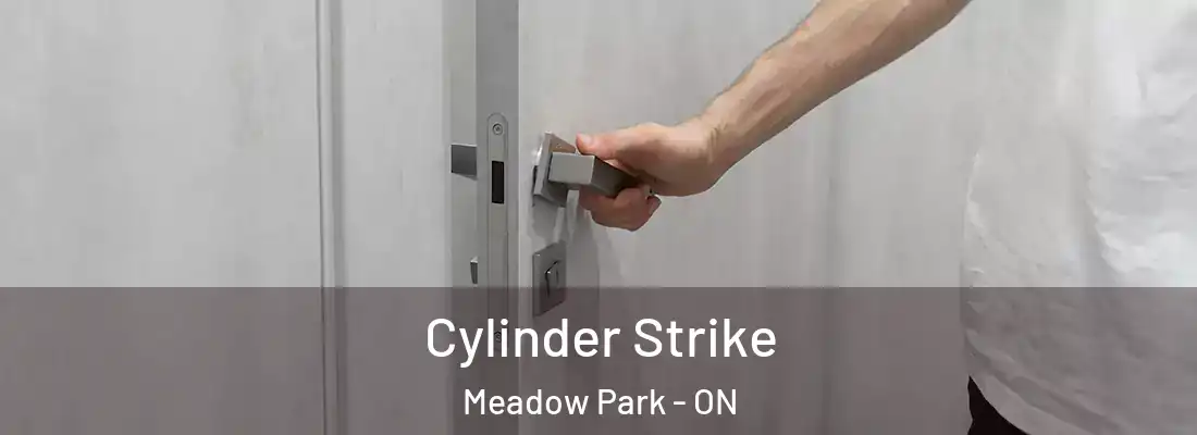  Cylinder Strike Meadow Park - ON