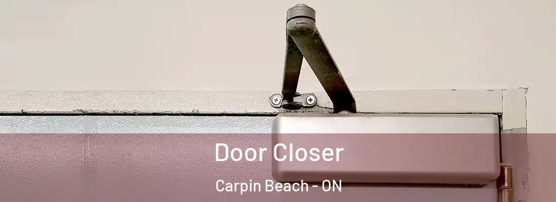  Door Closer Carpin Beach - ON