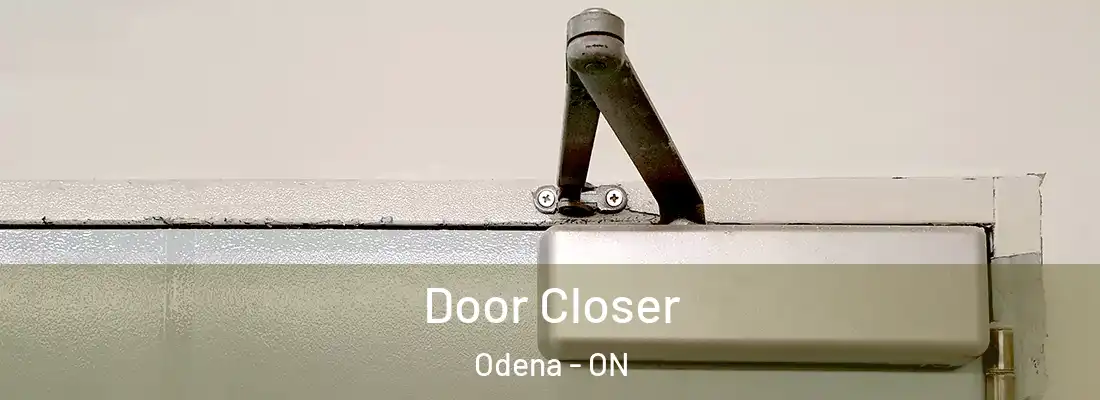  Door Closer Odena - ON