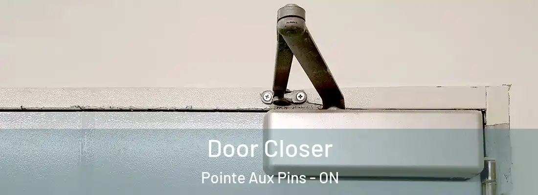  Door Closer Pointe Aux Pins - ON