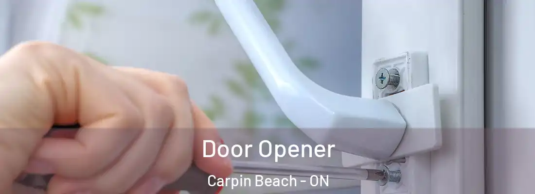  Door Opener Carpin Beach - ON
