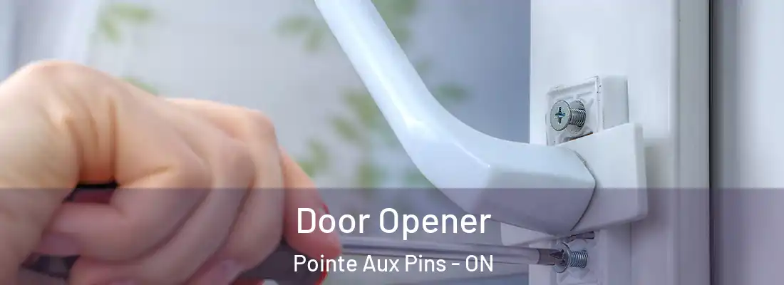  Door Opener Pointe Aux Pins - ON