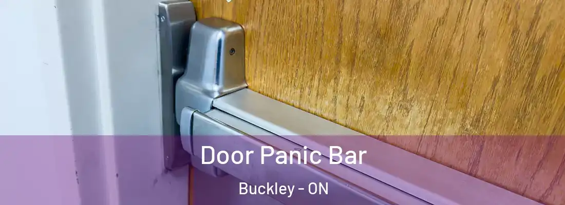  Door Panic Bar Buckley - ON