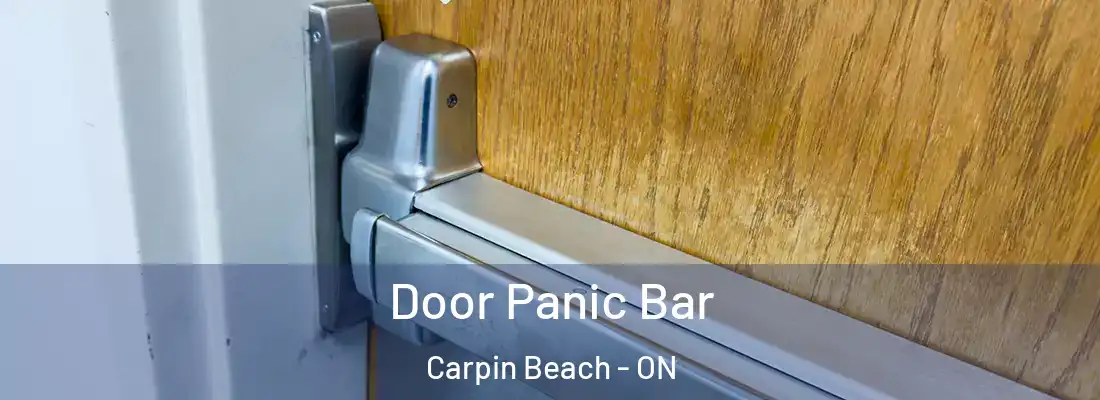  Door Panic Bar Carpin Beach - ON