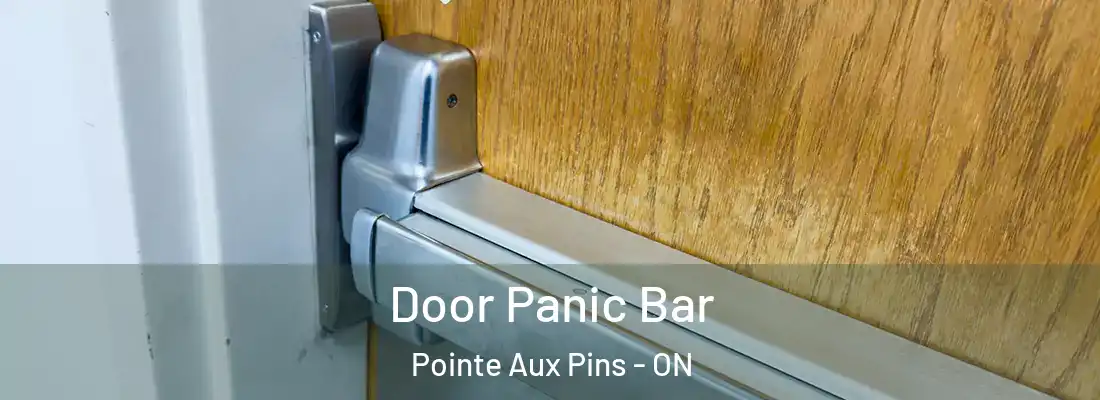  Door Panic Bar Pointe Aux Pins - ON