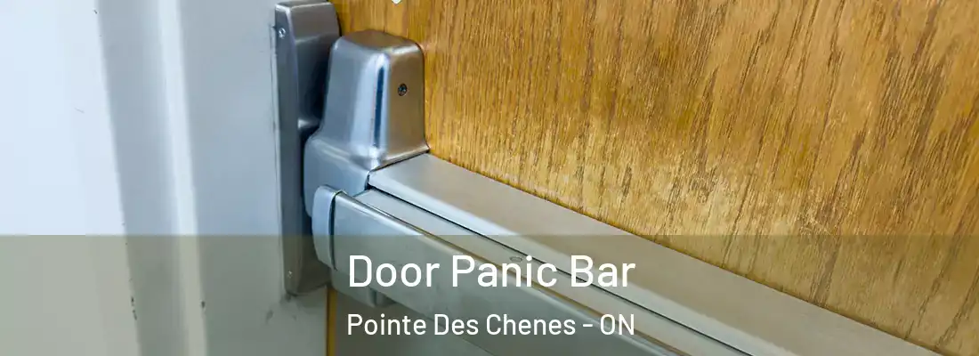 Door Panic Bar Pointe Des Chenes - ON