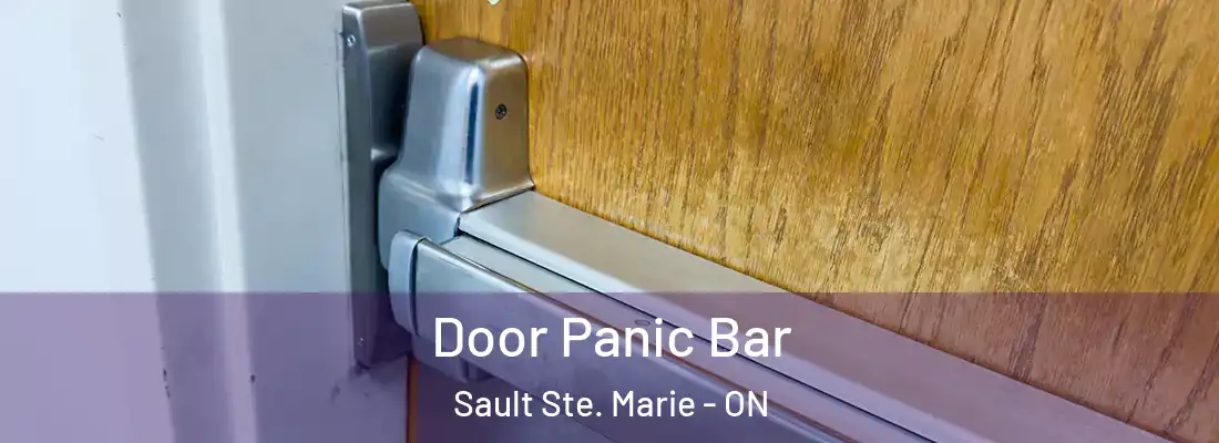  Door Panic Bar Sault Ste. Marie - ON