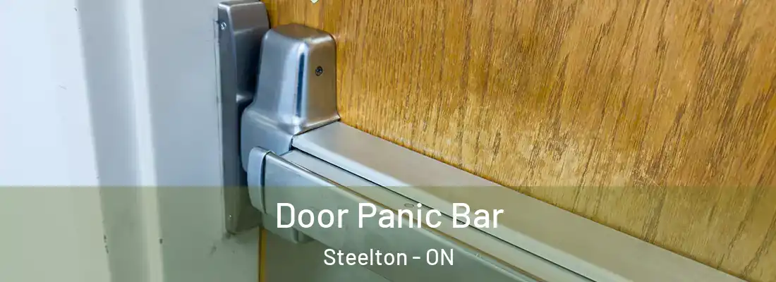  Door Panic Bar Steelton - ON