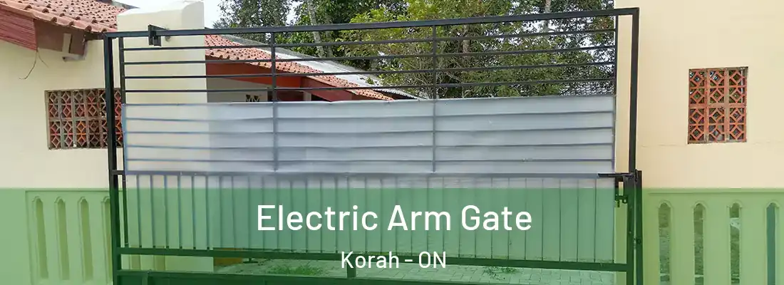  Electric Arm Gate Korah - ON
