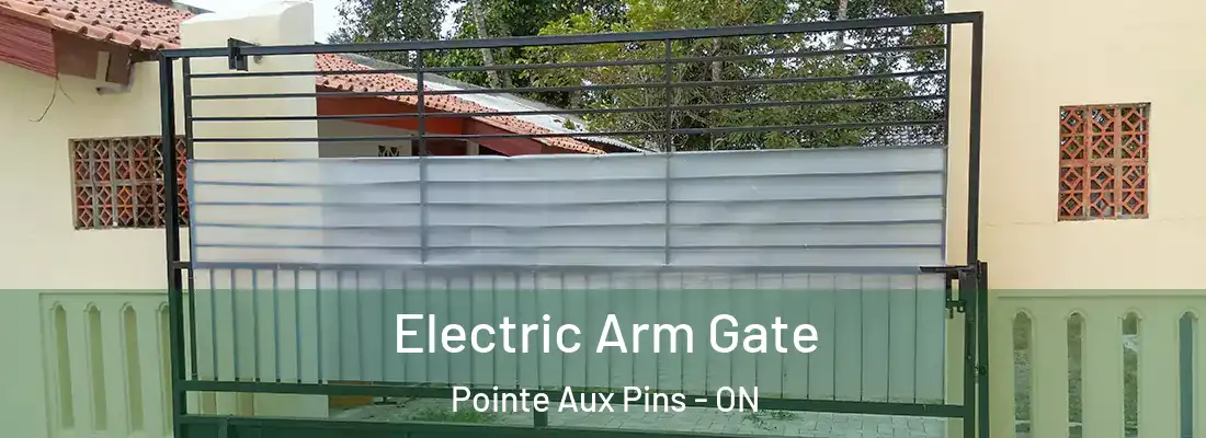  Electric Arm Gate Pointe Aux Pins - ON