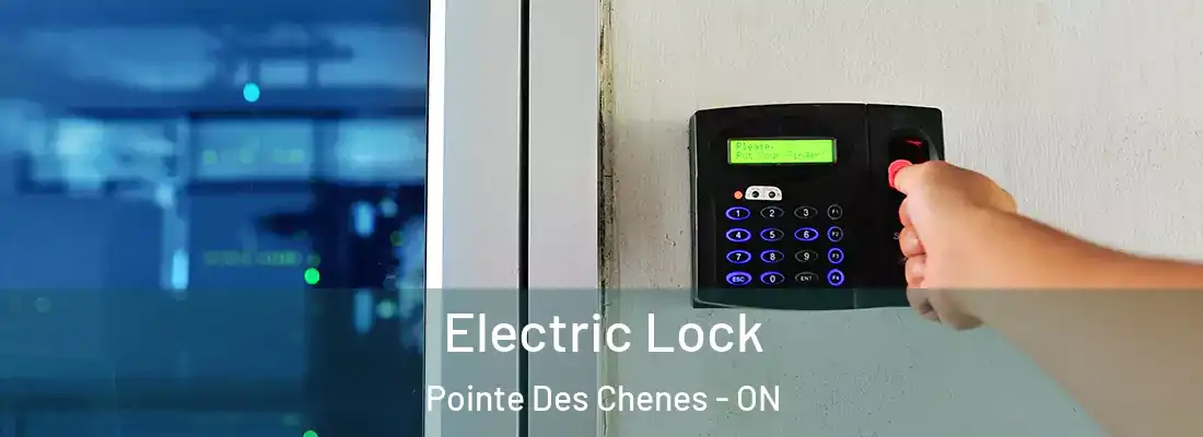  Electric Lock Pointe Des Chenes - ON