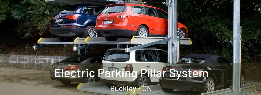 Electric Parking Pillar System Buckley - ON