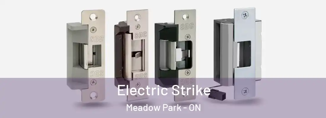 Electric Strike Meadow Park - ON