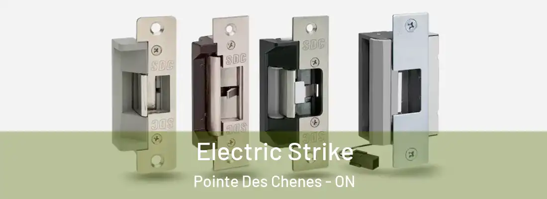  Electric Strike Pointe Des Chenes - ON