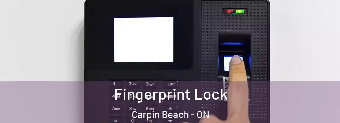  Fingerprint Lock Carpin Beach - ON