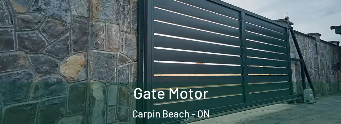 Gate Motor Carpin Beach - ON