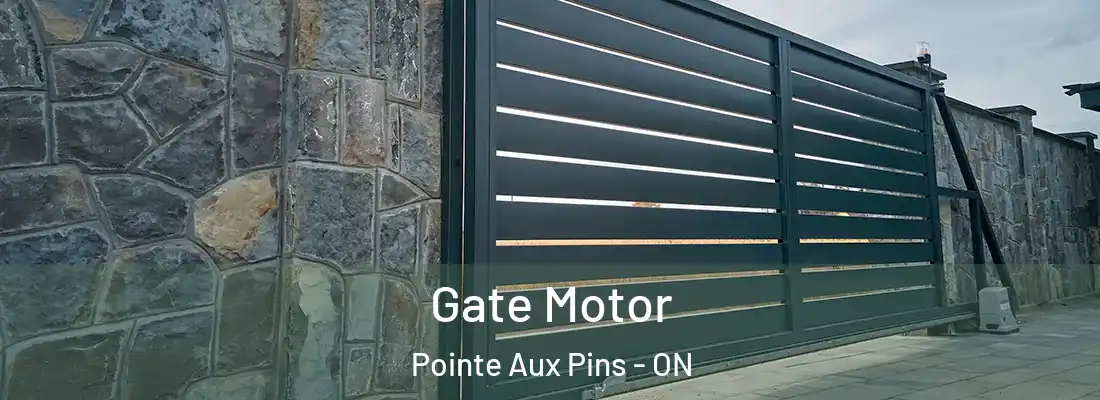  Gate Motor Pointe Aux Pins - ON