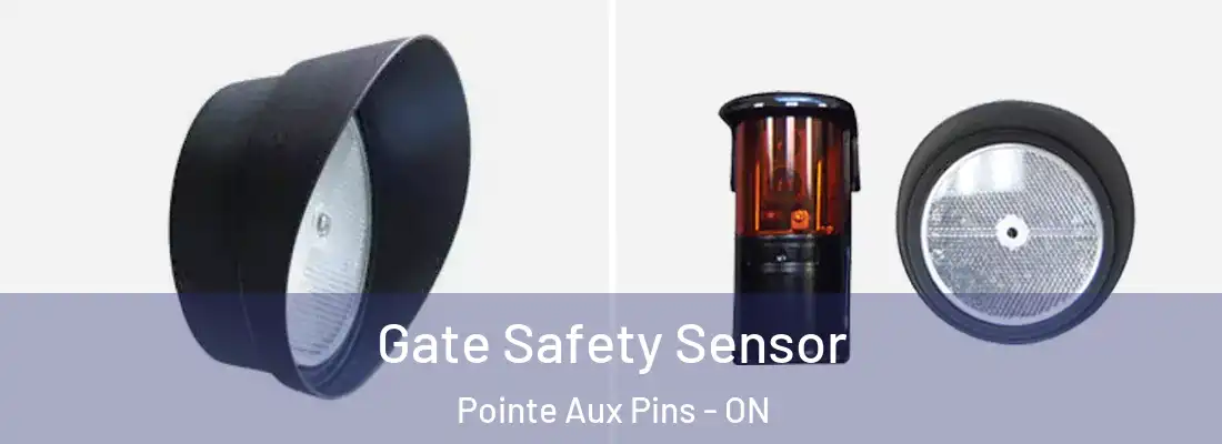  Gate Safety Sensor Pointe Aux Pins - ON