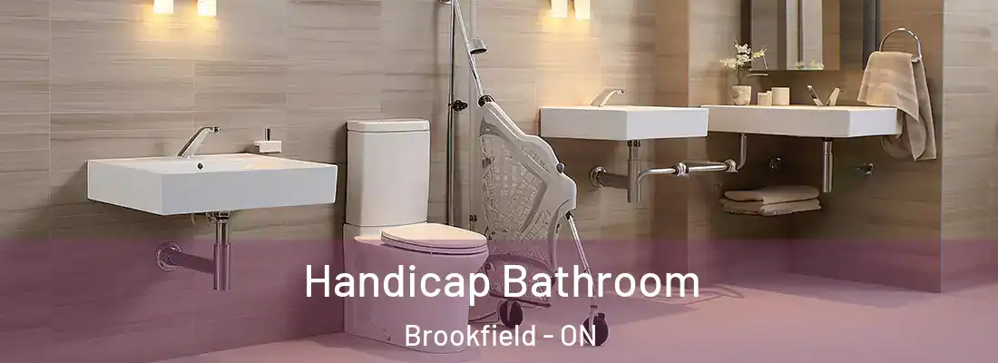  Handicap Bathroom Brookfield - ON