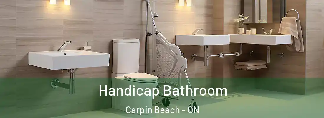  Handicap Bathroom Carpin Beach - ON
