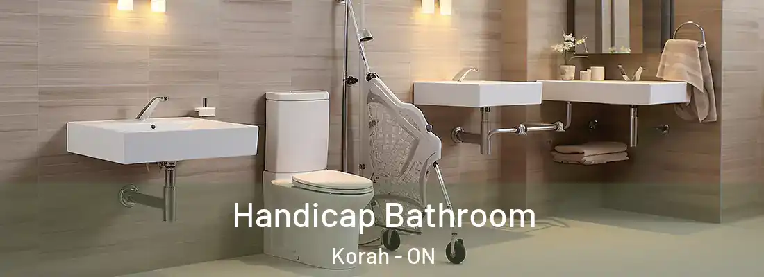 Handicap Bathroom Korah - ON