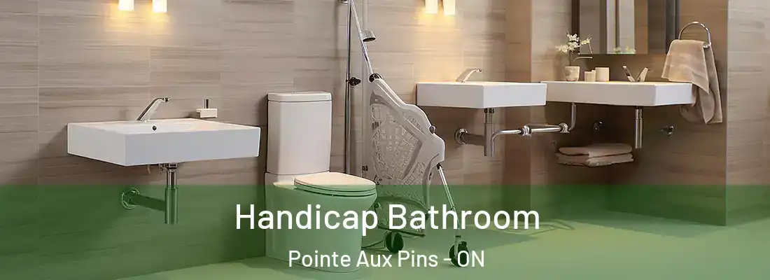  Handicap Bathroom Pointe Aux Pins - ON