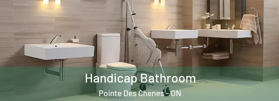 Handicap Bathroom Pointe Des Chenes - ON