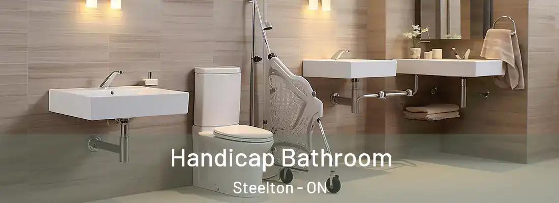  Handicap Bathroom Steelton - ON