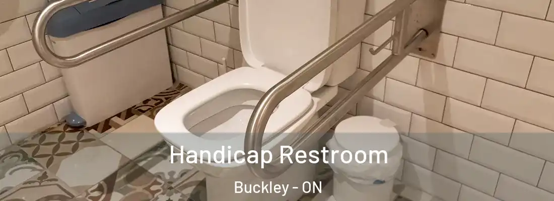  Handicap Restroom Buckley - ON